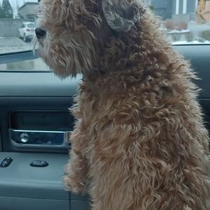 Meet your Posher, Randy